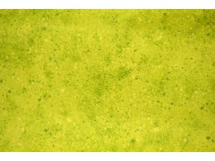 Tela verde pistacho